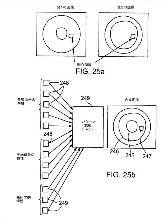 6878499-超音波と光学を複合した画像手段を有する撮像プローブ 図000029