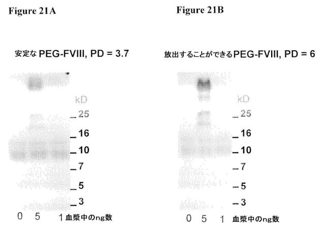 5806816-生理学的に許容されるポリマー分子を特異的に検出するための方法および組成物 図000030