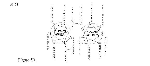 5823296-ＰＩＶ−５及びＰＩＶ−２のＦタンパク質の突然変異タンパク質 図000030