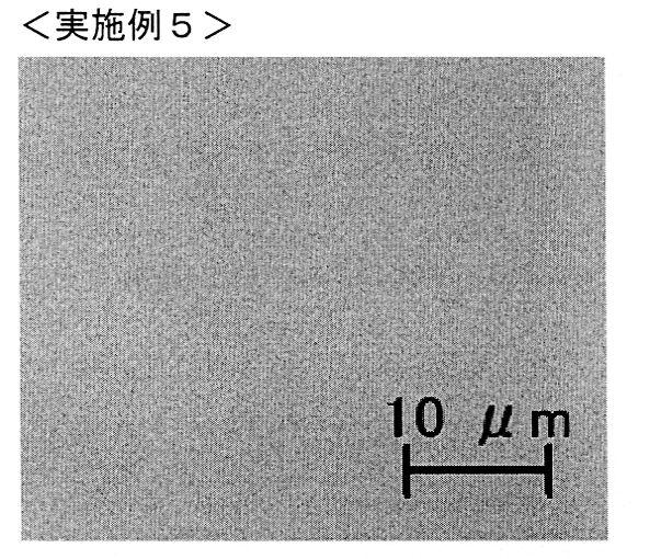 5834389-カラーフィルタ用樹脂組成物、カラーフィルタ、並びに液晶表示装置 図000030