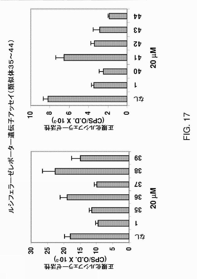 5878937-代謝障害を処置するための組成物および方法 図000030