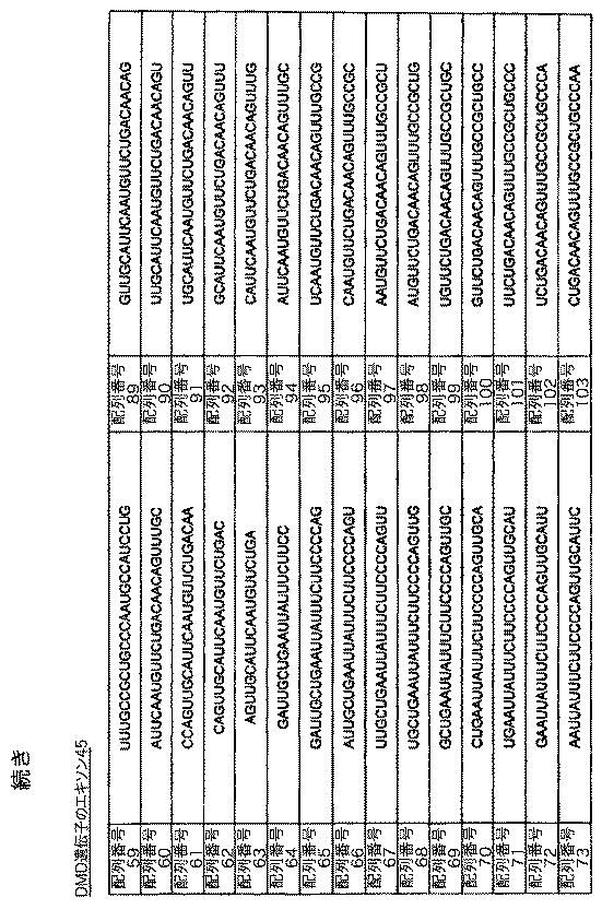 5879374-筋障害を相殺するための手段と方法 図000030