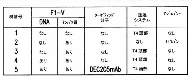 5951909-バクテリオファージＴ４ＤＮＡパッケージングマシンを用いた遺伝子およびタンパク質のインビトロおよびインビボ送達 図000030