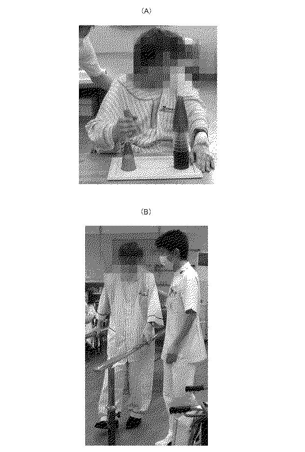 6010112-不死化幹細胞及びその産生物を有効成分とする医薬組成物並びに医薬製剤 図000030