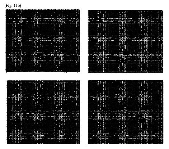 6370490-免疫抑制活性なしに神経再生活性が維持されるＦＫ５０６誘導体及びその用途 図000030