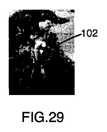 6396310-第一レンダリング投影と第二レンダリング投影との間のトランジションをユーザーに表示するための方法および装置 図000030