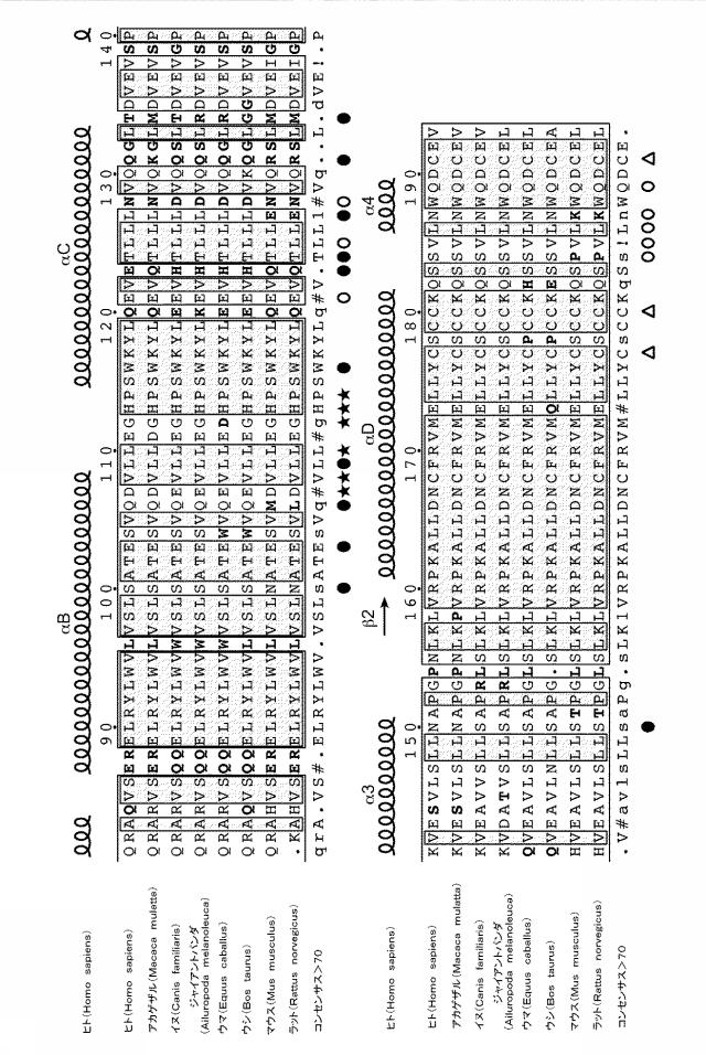 6416630-ＣＳＦ１Ｒ阻害剤を用いるための組成物及び方法 図000030