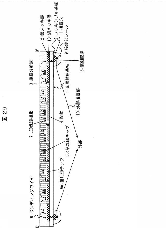 6445187-光照射装置および光治療器 図000030