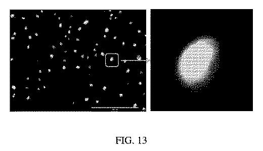 6769992-ポリマーナノ粒子における感光性化合物を含む組成物およびその組成物を使用する方法 図000030