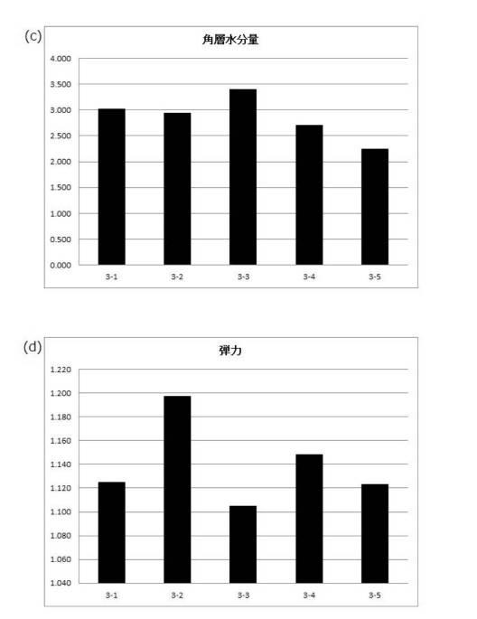 6987374-発泡性皮膚外用剤 図000030