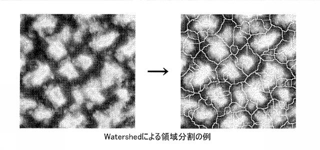 5649424-防水シート診断方法および診断装置 図000031