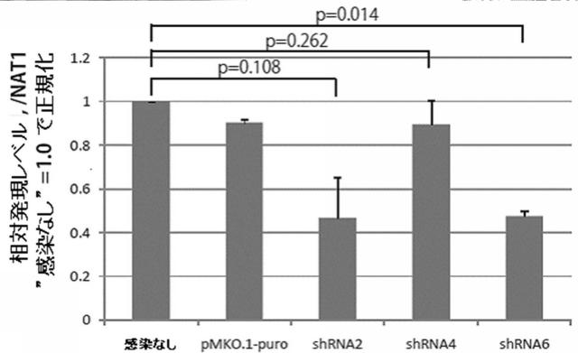 5765746-効率的な人工多能性幹細胞の樹立方法 図000031