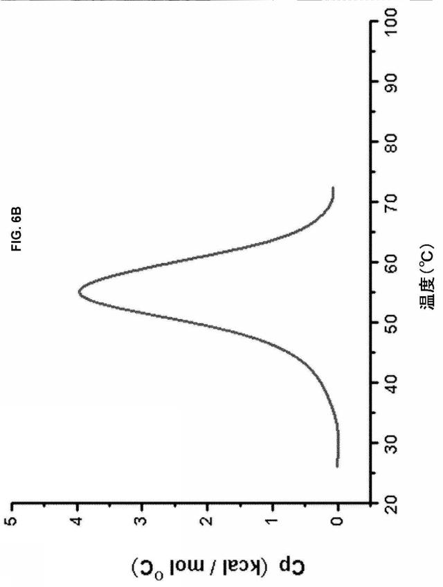 5889533-改変された抗体定常ドメイン分子 図000031