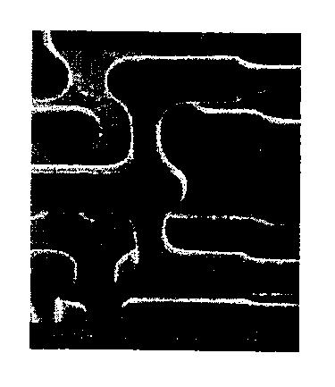 5907658-自己消失性コーティング 図000031