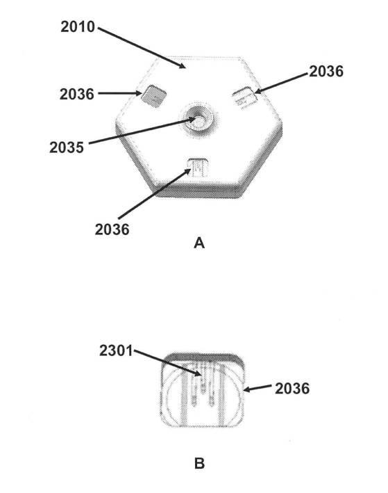 6190395-単一信号で複数被検体を検出する方法及び組成物 図000031