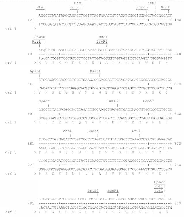 6259766-フラタキシンレベルを増加させる方法および生成物ならびにその使用 図000031