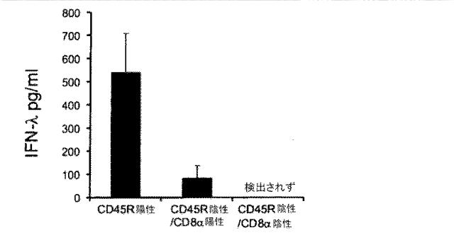 6263559-従来型樹状細胞によるＩＦＮ‐ラムダの産生及びその使用 図000031