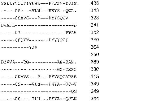 6290626-糖化プロセスにおける粘度を低下させる方法 図000031