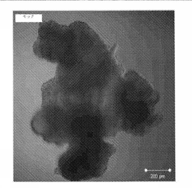 6335877-ウイルス感染を治療する方法および組成物 図000031