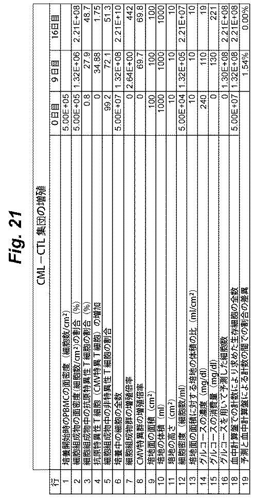 6386447-養子細胞療法のための改良された細胞培養法 図000031