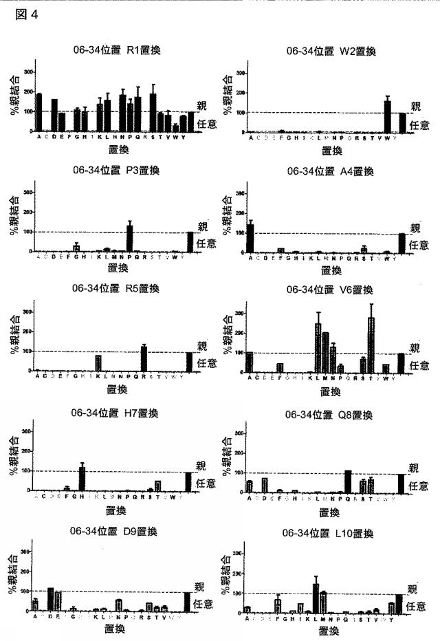 6568161-構造化ポリペプチドの特異性のモジュレーション 図000031