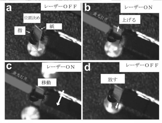 6605005-バイオニックアーム及びバイオニックアームを採用するロボット 図000031