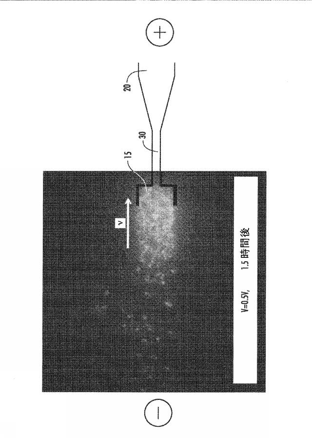 6633682-流体ナノファンネルを有する装置、関連する方法、製造及び解析システム 図000031