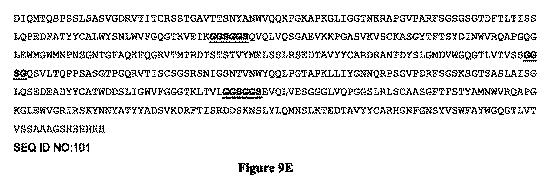 6760849-二重特異性ＣＤ３３およびＣＤ３結合タンパク質 図000031