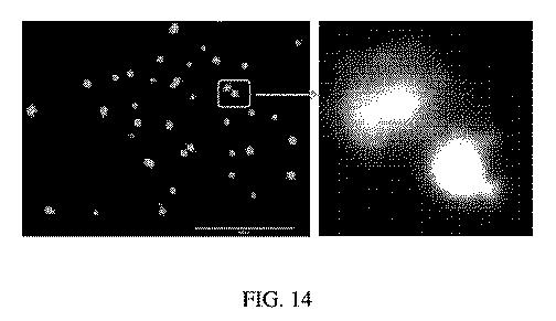 6769992-ポリマーナノ粒子における感光性化合物を含む組成物およびその組成物を使用する方法 図000031