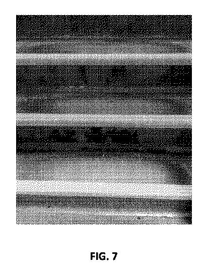 6790104-プロバイオティック組成物及びその使用 図000031