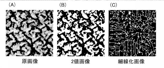 5649424-防水シート診断方法および診断装置 図000032