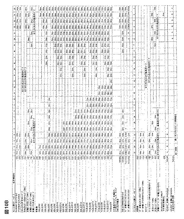 5697993-修飾ＲＮＡｉポリヌクレオチドおよびその使用 図000032