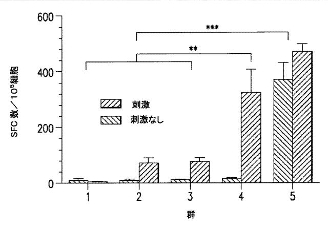 5951909-バクテリオファージＴ４ＤＮＡパッケージングマシンを用いた遺伝子およびタンパク質のインビトロおよびインビボ送達 図000032