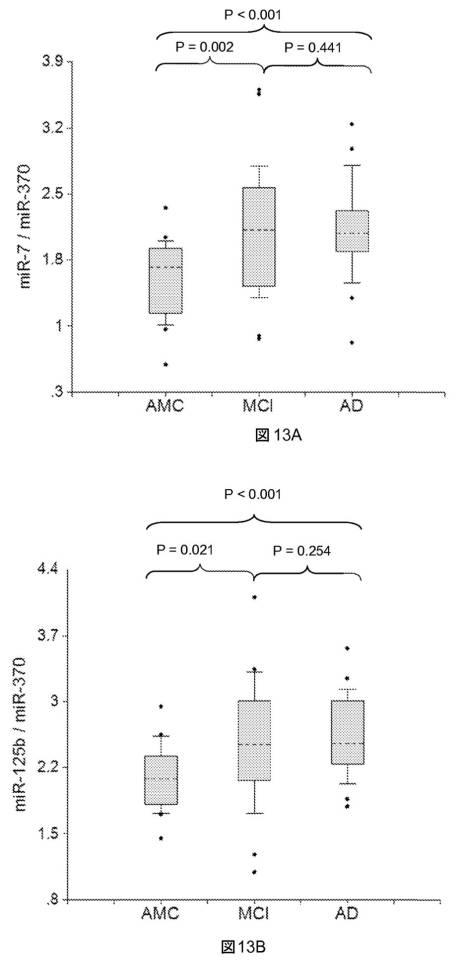 6021893-軽度認知機能障害（ＭＣＩ）およびアルツハイマー病（ＡＤ）の早期検出ならびにモニタリングのために体液からのｍｉＲＮＡを使用する方法 図000032