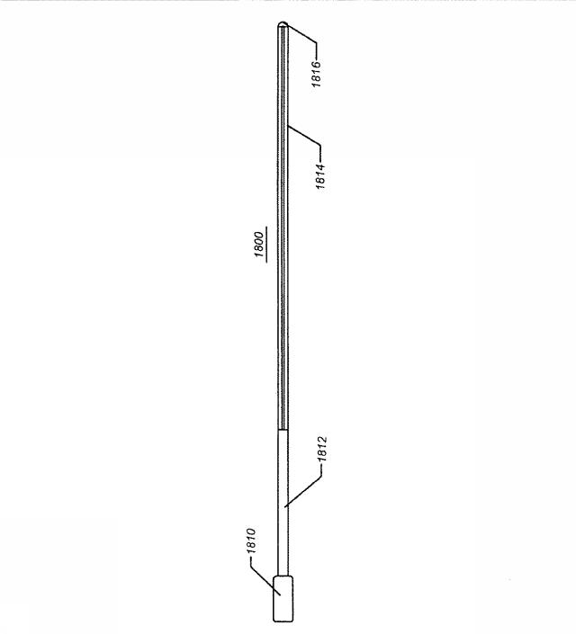 6069392-拡張可能な腸骨シースと使用方法 図000032