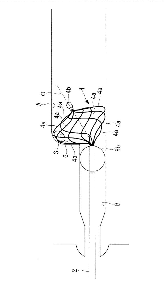 6188997-内視鏡用処置具 図000032