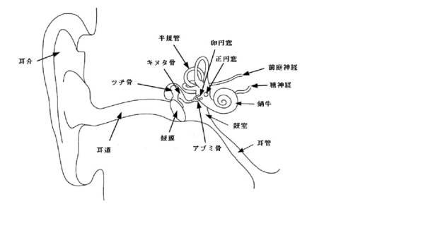 6207093-耳の障害の処置のための耳感覚細胞モジュレータ組成物の制御放出及びその方法 図000032