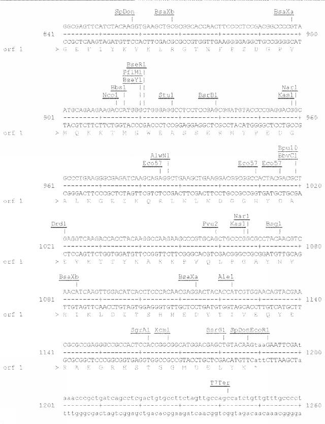 6259766-フラタキシンレベルを増加させる方法および生成物ならびにその使用 図000032