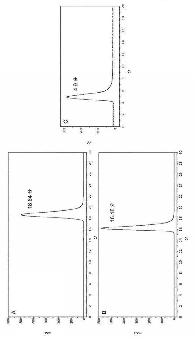 6289733-癌の予防及び／又は治療に用いるための放射標識抗体断片 図000032