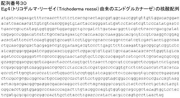 6290626-糖化プロセスにおける粘度を低下させる方法 図000032