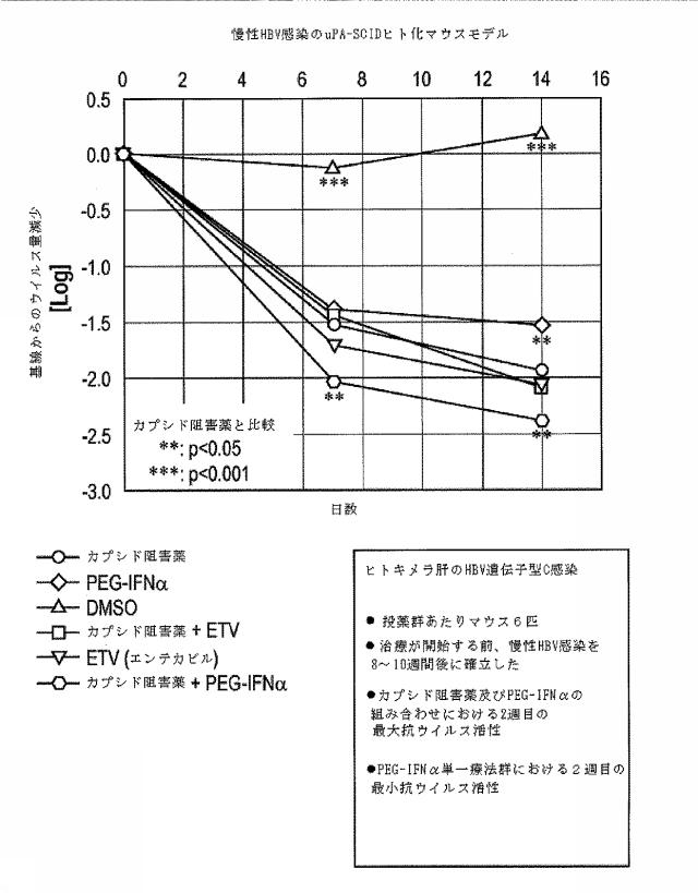 6553059-ＨＢＶ感染の治療のための併用療法 図000032