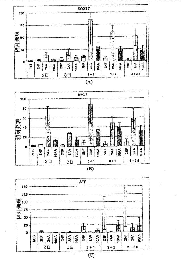 6595041-ＰＤＸ１発現背側及び腹側前腸内胚葉 図000032