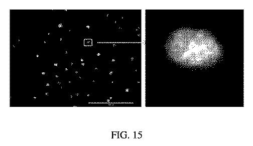 6769992-ポリマーナノ粒子における感光性化合物を含む組成物およびその組成物を使用する方法 図000032