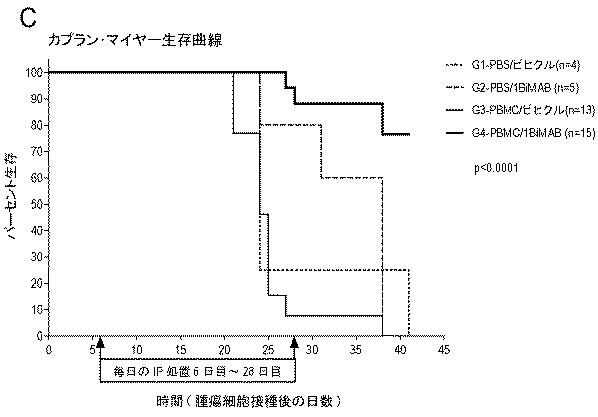 6799101-クローディンを発現するガン疾患を処置するための剤 図000032