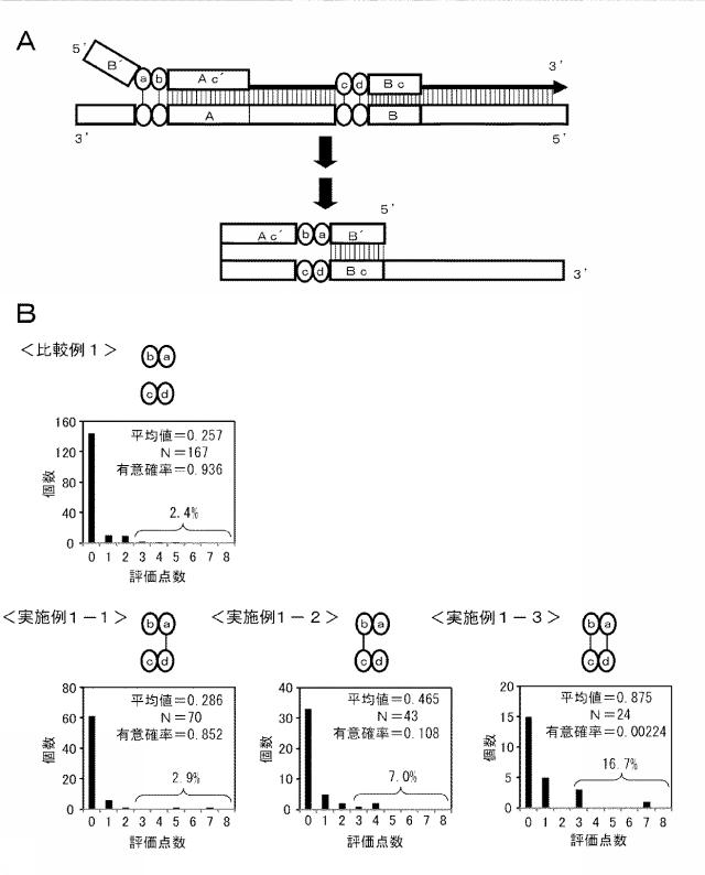 6006814-核酸増幅用プライマーの設計方法、核酸増幅用プライマーの製造方法、核酸増幅用プライマー、プライマーセット、および核酸の増幅方法 図000033