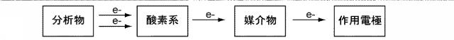 6150261-多領域分析における分析物試験センサ、方法およびシステム 図000033