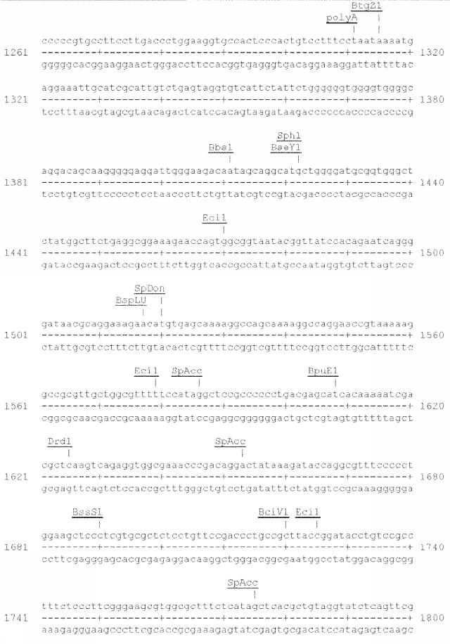 6259766-フラタキシンレベルを増加させる方法および生成物ならびにその使用 図000033