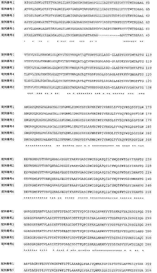 6499081-アスペルギルス・フミガタス（Ａｓｐｅｒｇｉｌｌｕｓｆｕｍｉｇａｔｕｓ）由来のグルコアミラーゼを発現するトリコデルマ・レーシ（Ｔｒｉｃｈｏｄｅｒｍａｒｅｅｓｅｉ）宿主細胞、及びその使用方法 図000033