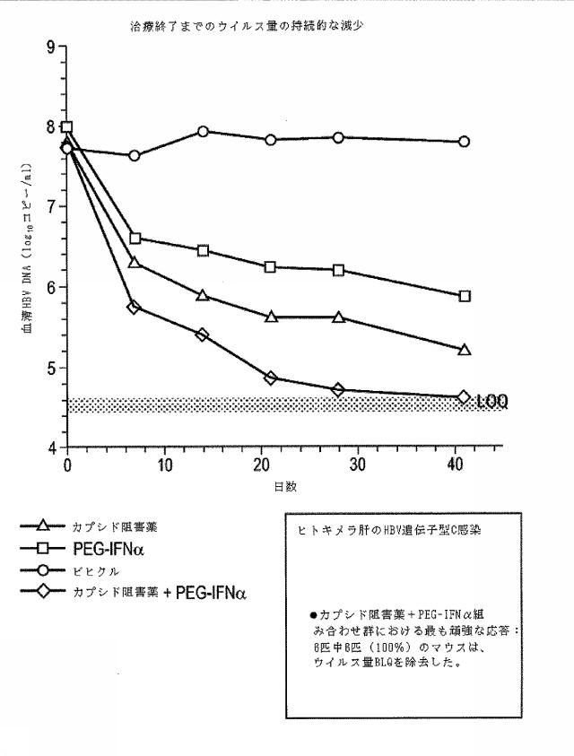 6553059-ＨＢＶ感染の治療のための併用療法 図000033