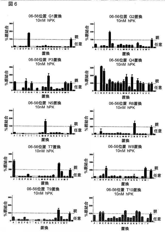 6568161-構造化ポリペプチドの特異性のモジュレーション 図000033
